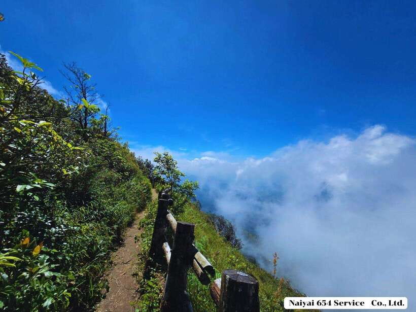 Chiang Mai: Doi Inthanon One-Day Tour With a Private Driver - Key Points
