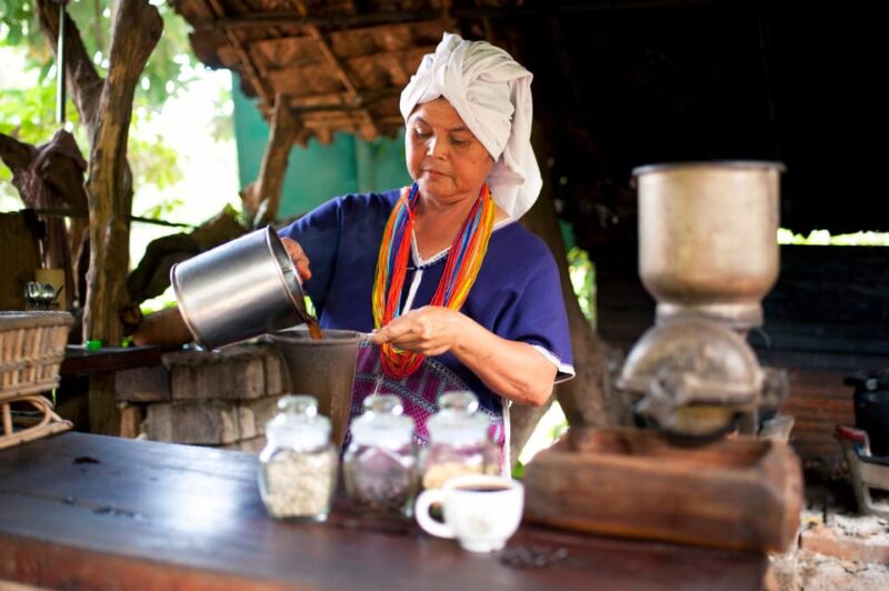 Chiang Mai: Doi Inthanon Park Waterfall Guided Car Tour - Bird Watching