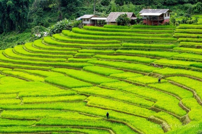 Chiang Mai: Doi Inthanon Park Waterfall Guided Car Tour - Important Information