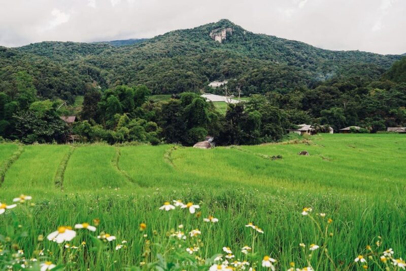 Chiang Mai: Doi Inthanon & Pha Dok Siew Nature Trail Trek - Key Points