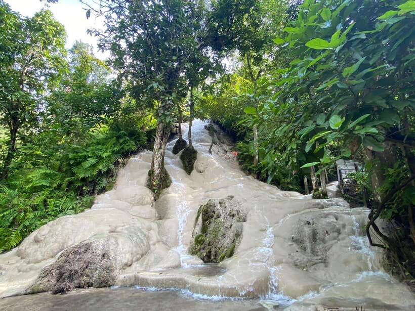 Chiang Mai: Doi Suthep, Orchid Farm and Waterfall With Lunch - Included Services