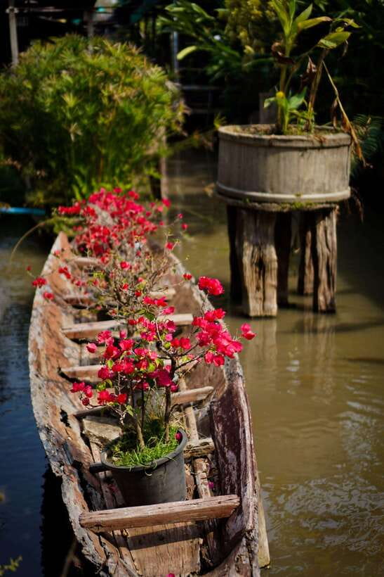 Chiang Mai: Doi Suthep, Orchid Farm and Waterfall With Lunch - Customer Feedback