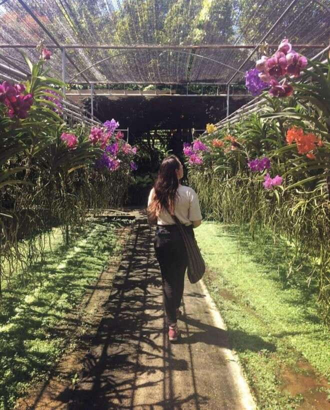 Chiang Mai: Doi Suthep, Orchid Farm and Waterfall With Lunch - Frequently Asked Questions