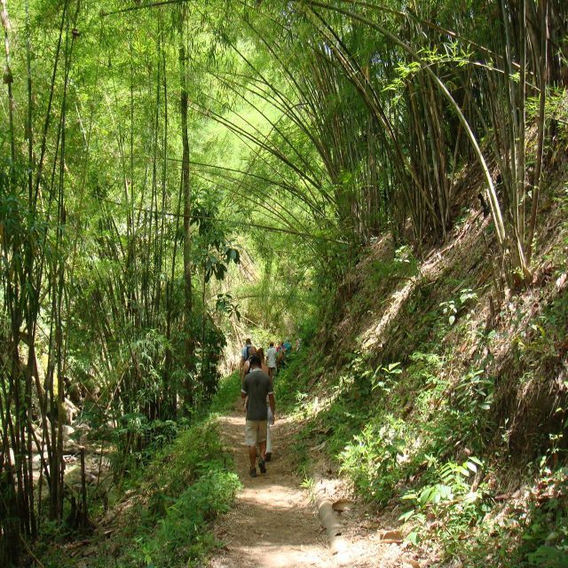 Chiang Mai: Doi Suthep-Pui National Park Day Tour & Rafting - Inclusions
