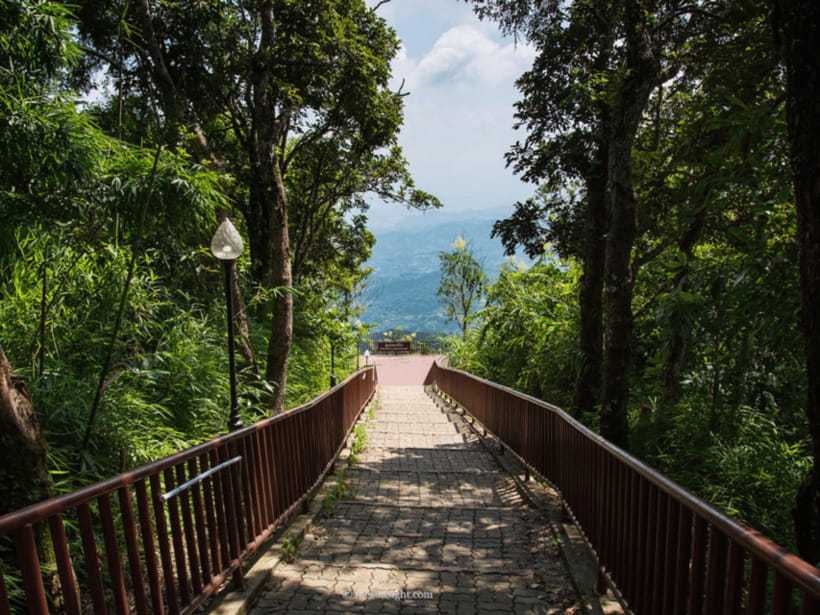 Chiang Mai: Doi Tung, Doi Mae, Salong Day Trip With Driver - Overview and Pricing