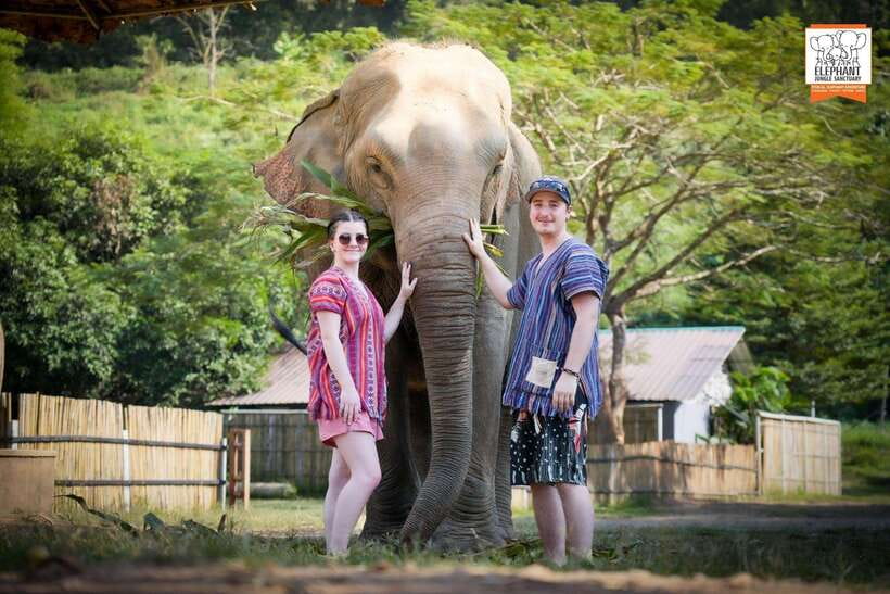 Chiang Mai Elephant Jungle Sanctuary &Mama Noi Cooking Class - Key Points