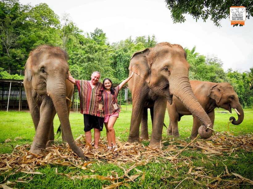 Chiang Mai Elephant Jungle Sanctuary &Mama Noi Cooking Class - Hands-On Cooking Class Experience
