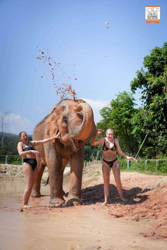 Chiang Mai Elephant Jungle Sanctuary &Mama Noi Cooking Class - Frequently Asked Questions
