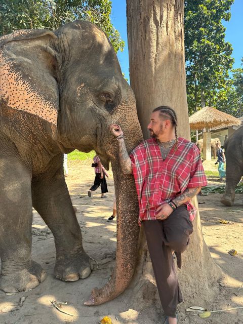 Chiang Mai: Elephant Sanctuary Guided Tour in English - Experienced Spanish-speaking Guide