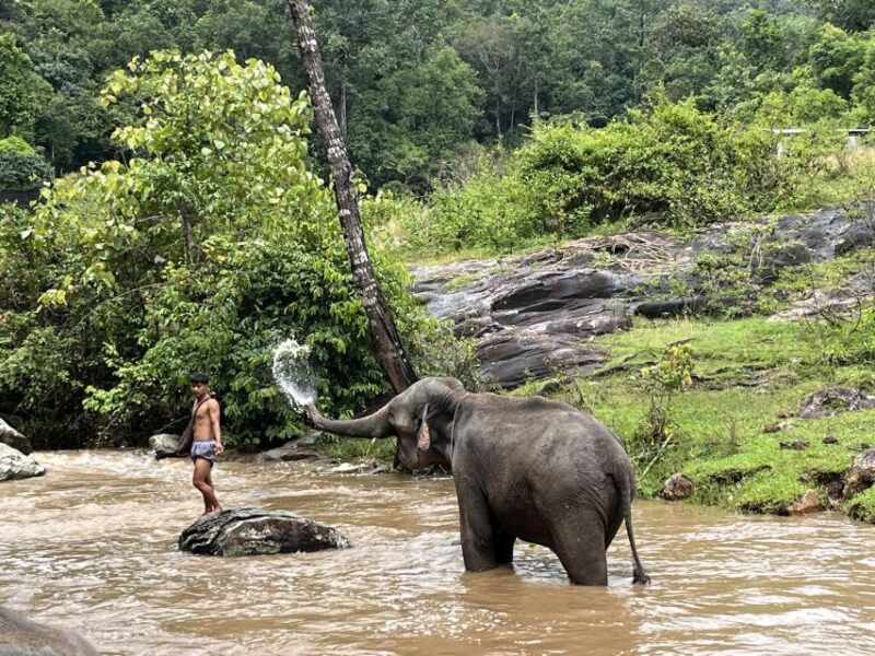 Chiang Mai: Elephant Sanctuary & Waterfall Group Tour - Itinerary and Activities