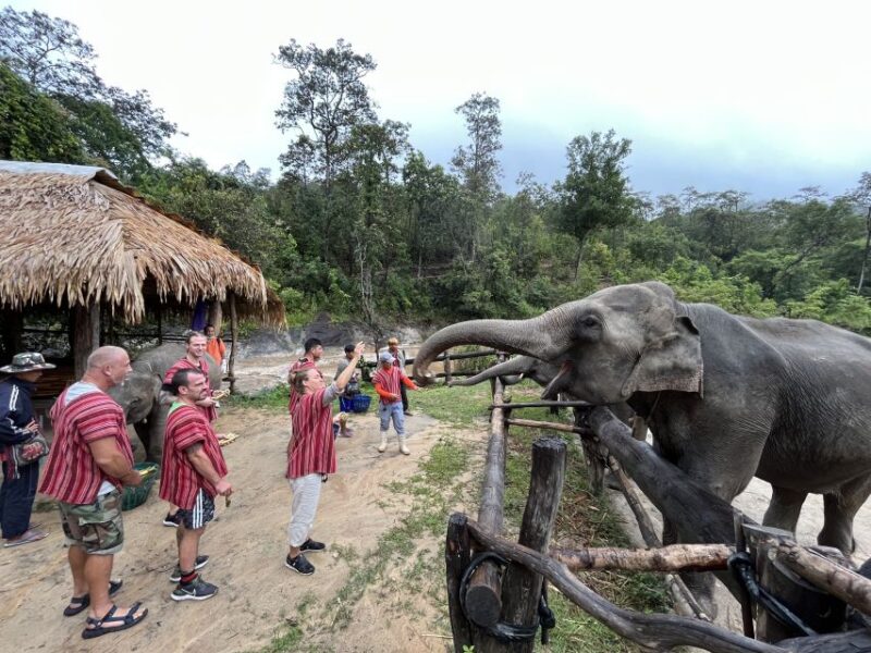 Chiang Mai: Elephant Sanctuary & Waterfall Group Tour - Elephant Sanctuary Experience