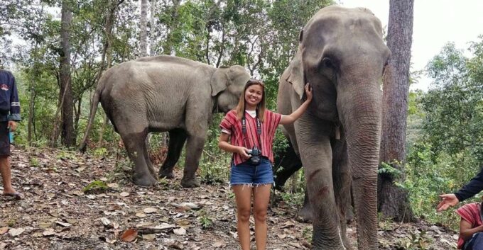 Chiang Mai: Elephant Sanctuary & Waterfall Group Tour - Frequently Asked Questions