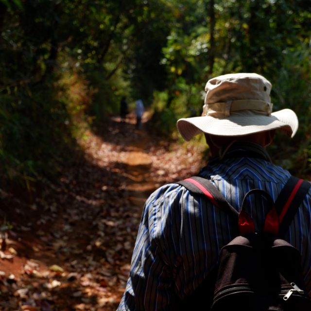 Chiang Mai: Full Day 5 Hill Tribes Tour With Guide & Van - Highlights of the Tour