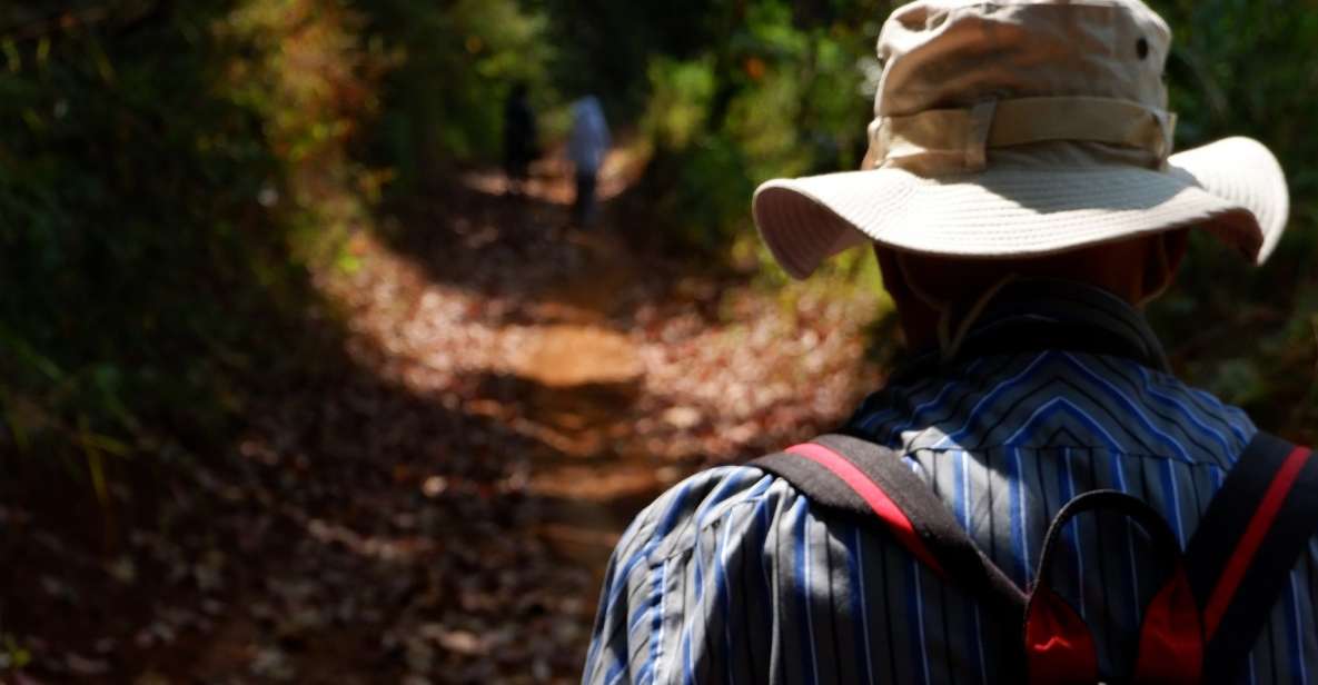 Chiang Mai: Full Day 5 Hill Tribes Tour With Guide & Van - Visiting the Hill Tribes