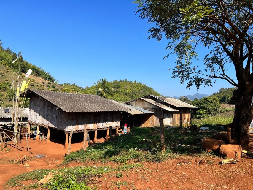Chiang Mai: Full Day 5 Hill Tribes Tour With Guide & Van - Exploring the Villages