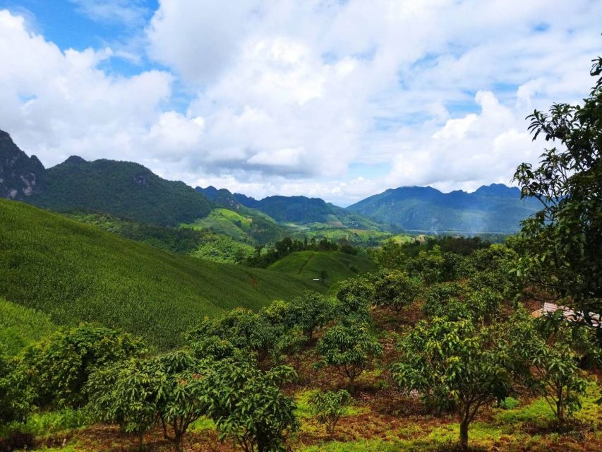 Chiang Mai: Full Day 5 Hill Tribes Tour With Guide & Van - Frequently Asked Questions