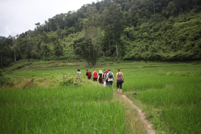 Chiang Mai: Full-Day Hill Tribe Countryside Villages Tour - Experience Highlights