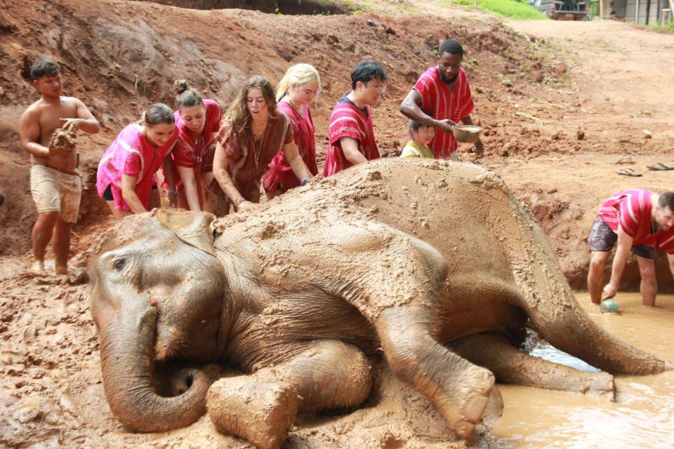 Chiang Mai: Full-Day Kerchor Elephant Eco Park Tour & Trek - Activities Offered