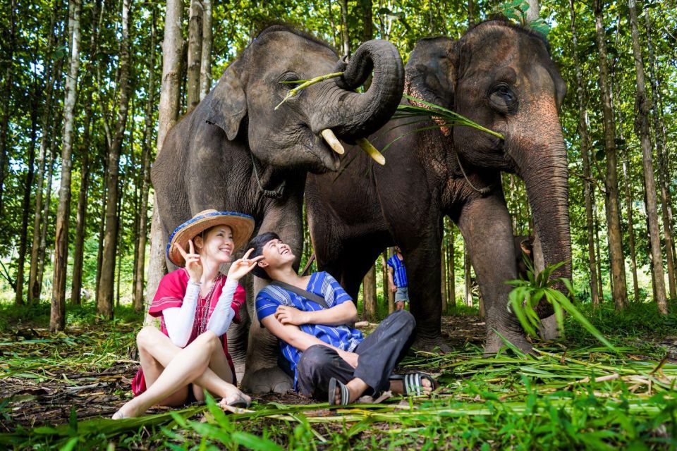 Chiang Mai: Full-Day Kerchor Elephant Eco Park Tour & Trek - Pricing and Booking