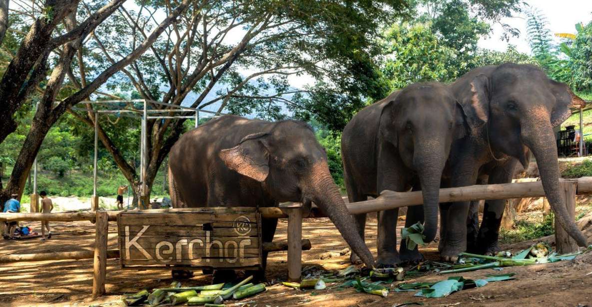 Chiang Mai: Full-Day Kerchor Elephant Eco Park Tour & Trek - Guided Trekking and Rafting