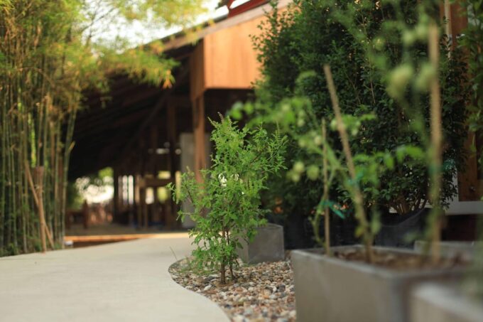 Chiang Mai: HALF-DAY COOKING COURSE at a Thai Cooking Farm - Transportation and Amenities