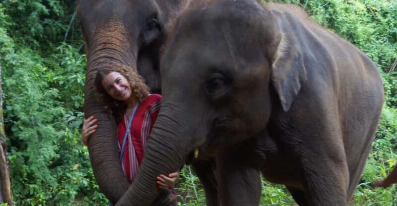 Chiang Mai: Half Day Elephant Eco Park Tour - Experience Highlights