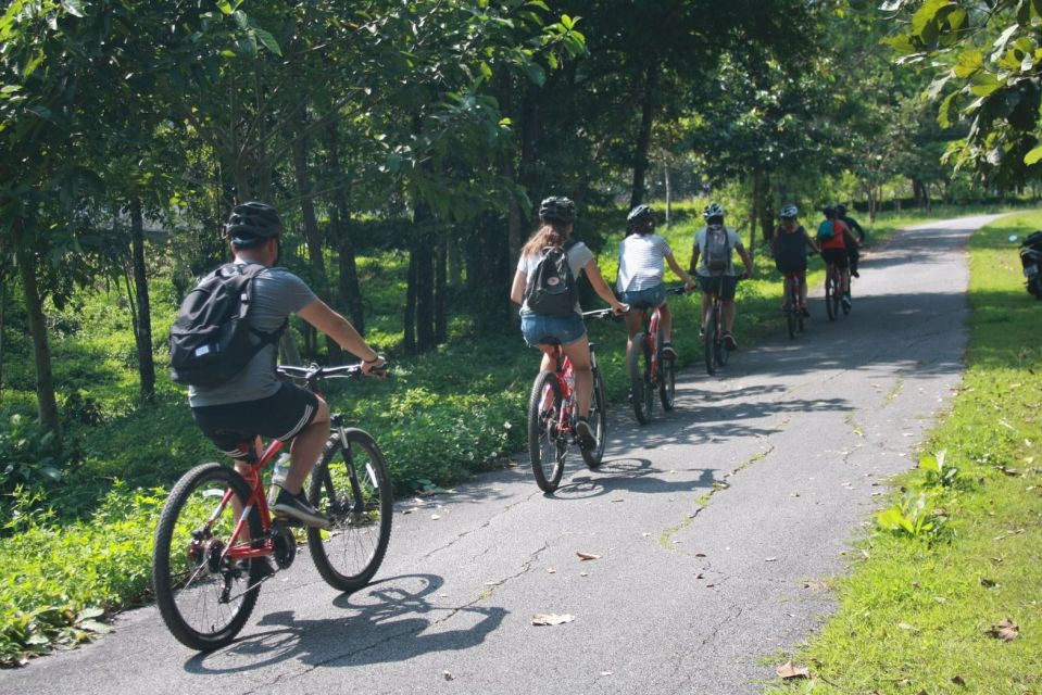 Chiang Mai: Half-Day Guided Bike & Regional Culture Tour - Exploring Organic Farm