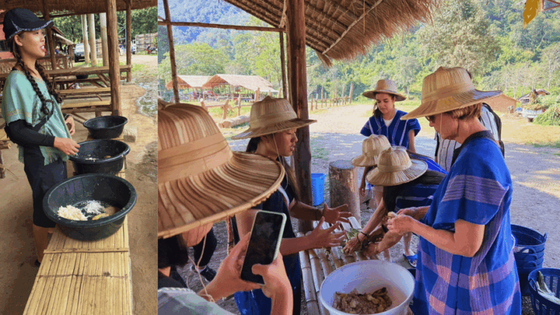 Chiang Mai: Half Day Walking With Giant Elephants - Important Information