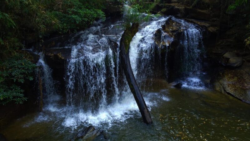 Chiang Mai Jungle Explorer. (Hike, Cook, Meet the Community) - Itinerary Highlights