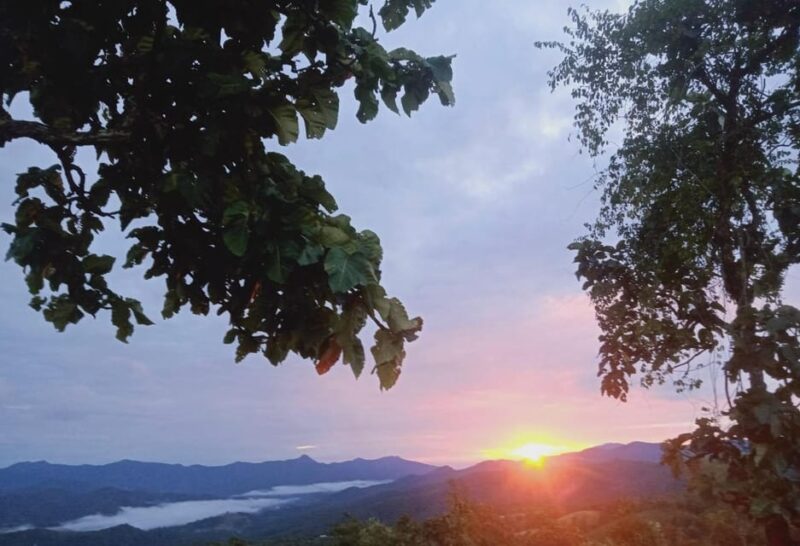 Chiang Mai Jungle Explorer. (Hike, Cook, Meet the Community) - Bamboo-Cooking Demonstration