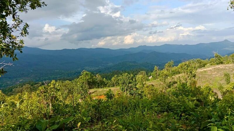 Chiang Mai: Jungle Trek, Elephants Care & Bamboo Rafting - Key Points