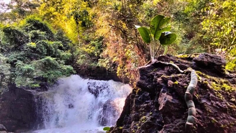 Chiang Mai: Jungle Trek, Elephants Care & Bamboo Rafting - Itinerary Highlights