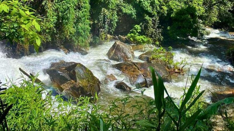 Chiang Mai: Jungle Trek, Elephants Care & Bamboo Rafting - Activities and Experiences