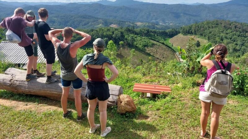 Chiang Mai: Jungle Trek, Elephants Care & Bamboo Rafting - Inclusions and Exclusions
