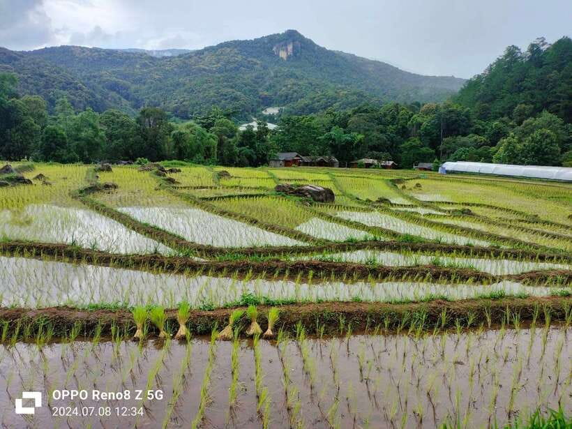 Chiang Mai: Mae Ya Waterfall & Pha Dok Siew Trail Trek - Key Points