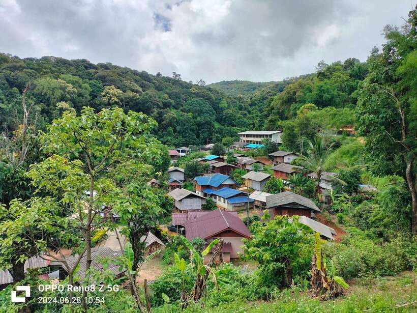 Chiang Mai: Mae Ya Waterfall & Pha Dok Siew Trail Trek - Pha Dok Siew Nature Trail