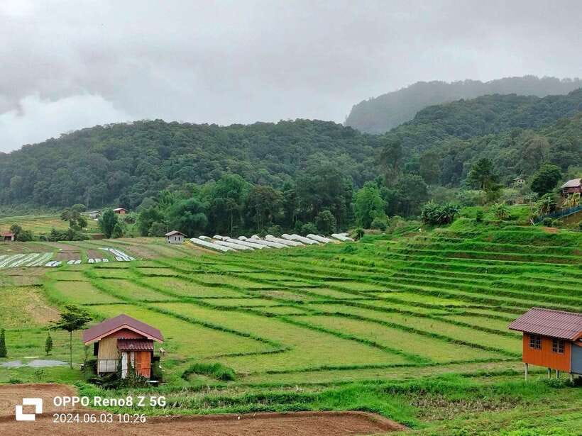 Chiang Mai: Mae Ya Waterfall & Pha Dok Siew Trail Trek - Ban Mae Klang Luang