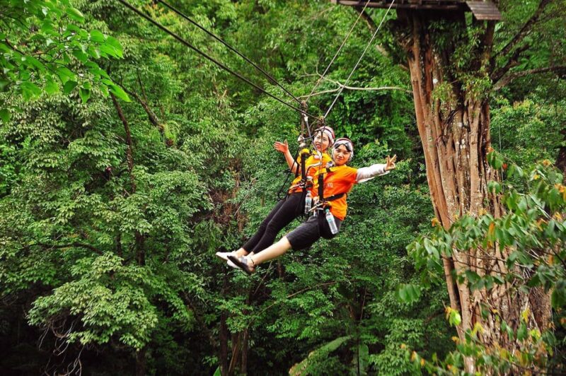 Chiang Mai : Pongyang Jungle Coaster Zipline - Key Points