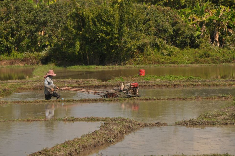 Chiang Mai: Rural Explorer Cycling Tour - Frequently Asked Questions