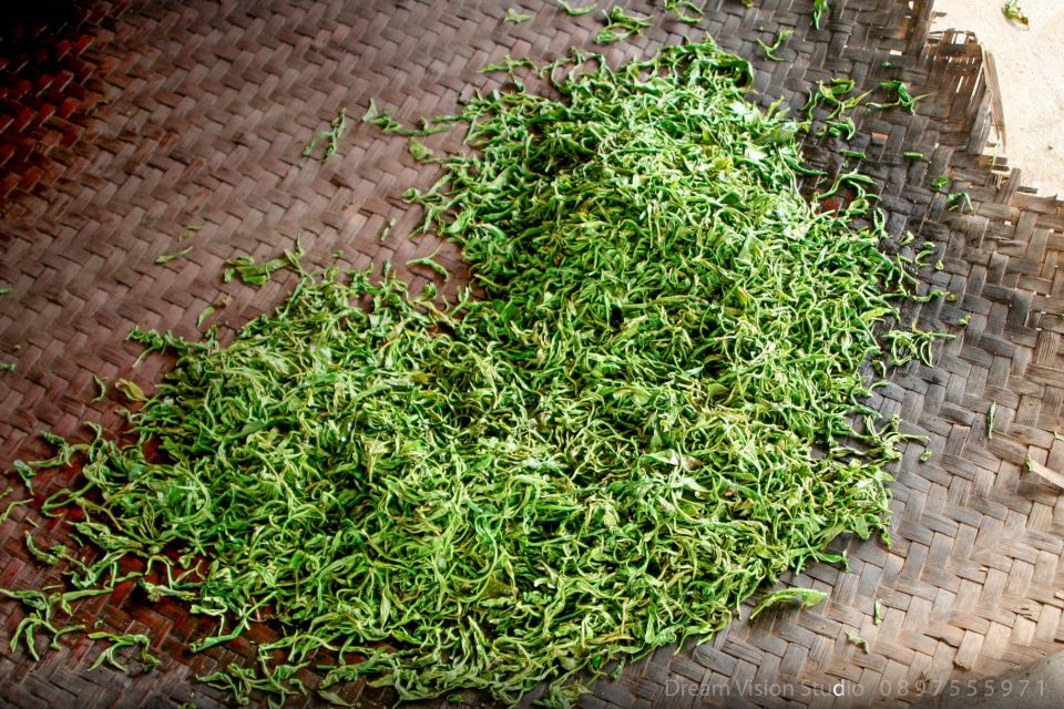 Chiang Mai: Sensation 3DAYS 2nights, Explore in Tea Village - Key Points