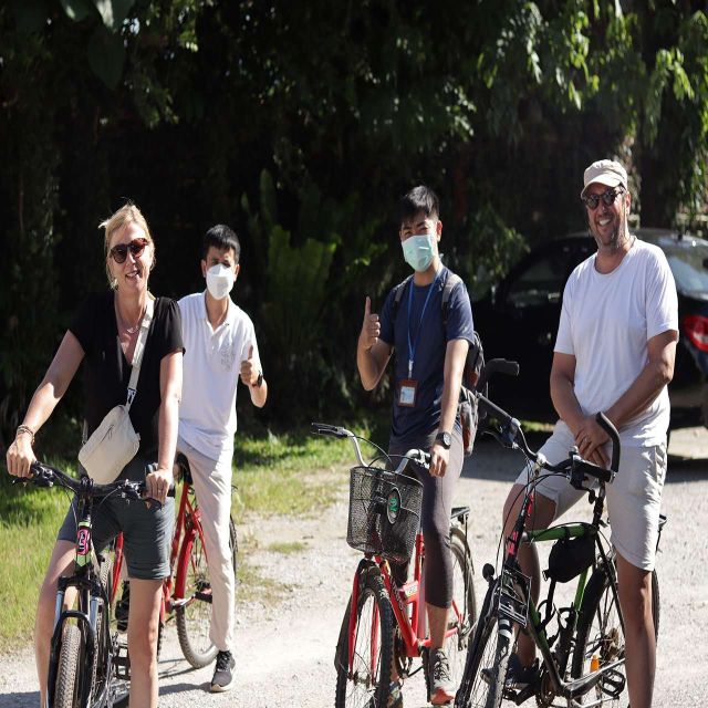 Chiang Mai: Sensation 3DAYS 2nights, Explore in Tea Village - Highlights