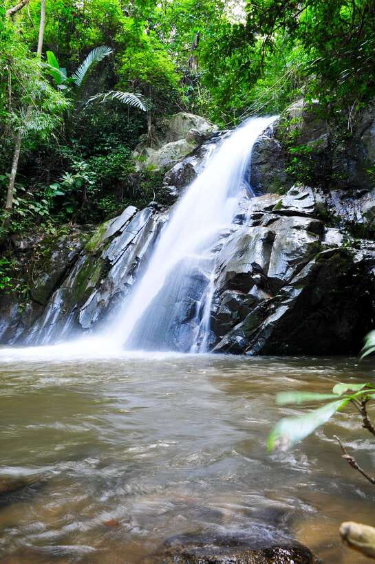 Chiang Mai: Sticky Waterfall & Caves Tour W/ Treehouse Stay - Key Points