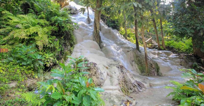 Chiang Mai: Sticky Waterfall, Chet Si Fountain Park Transfer - Key Points
