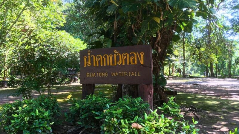 Chiang Mai: Sticky Waterfall, Chet Si Fountain Park Transfer - Pricing and Booking