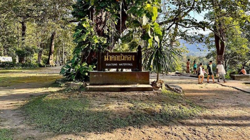 Chiang Mai: Sticky Waterfall, Chet Si Fountain Park Transfer - Exploring the Lush Surroundings