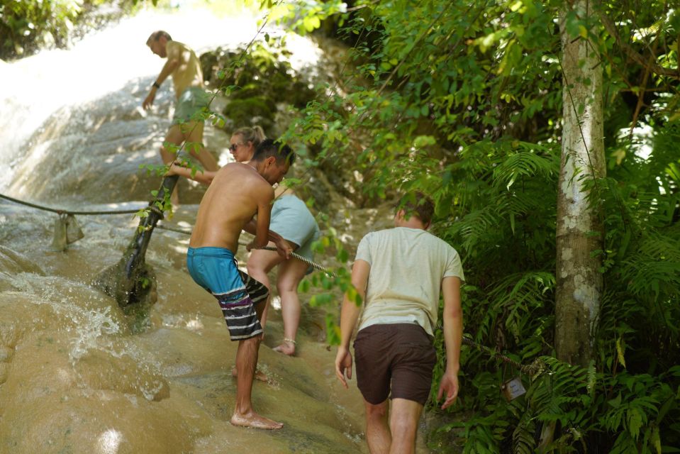Chiang Mai: Sticky Waterfall & Srilanna National Park Kayak - Key Points