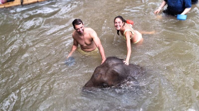 Chiang Mai Untouched Elephant: Nature Walk & Waterfall Trek - Key Points