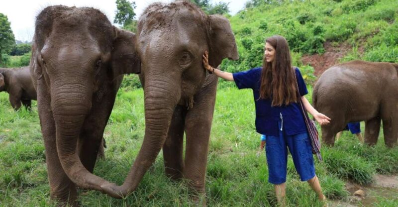 Chiang Mai Untouched Elephant: Nature Walk & Waterfall Trek - Becoming a Mahout for a Day