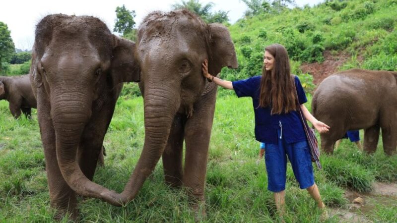 Chiang Mai Untouched Elephant: Nature Walk & Waterfall Trek - Discovering the Local Hill Tribe Village