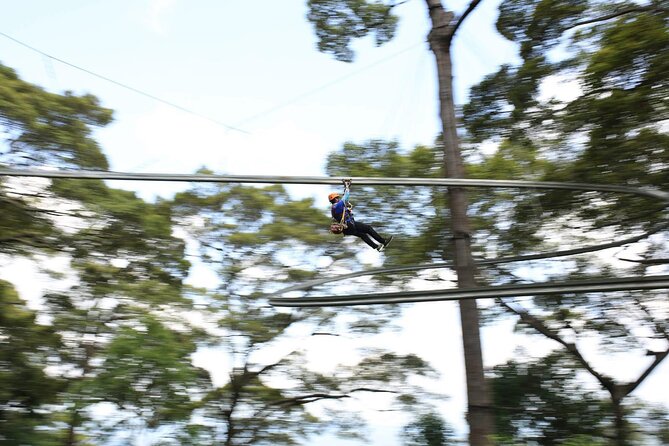 Chiang Mai Zip Line Experience - Health and Safety Guidelines